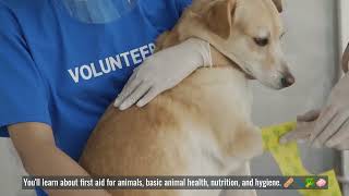  Animal Care Course Promo