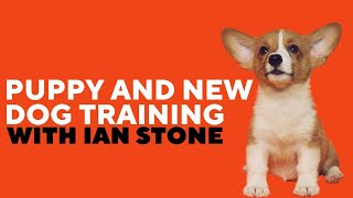 Puppy and New Dog Training