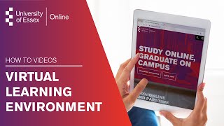 Online Learning Environment