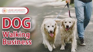 Dog Walking Training