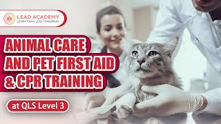 Animal Care and Pet First Aid Training